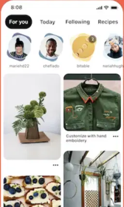 pinterest video feed image